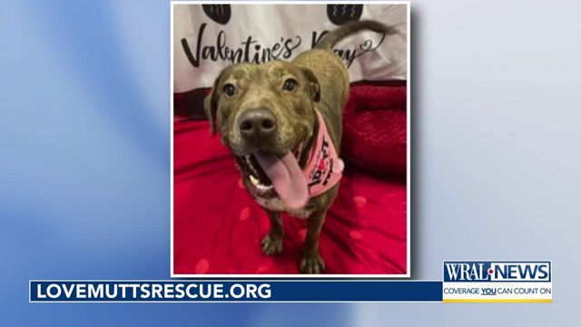 Pet of the Day: March 3, 2024