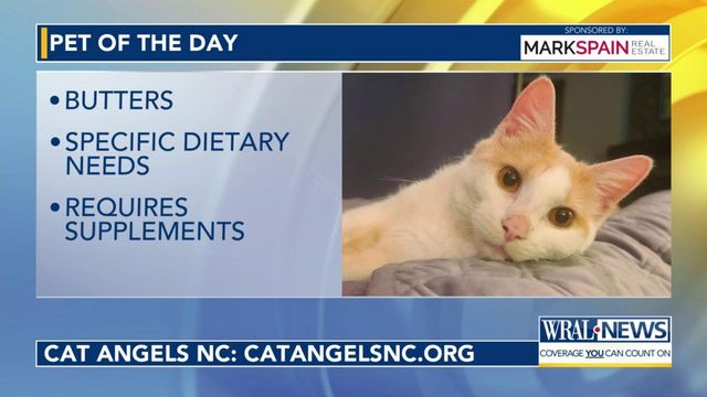 Pet of the Day for March 20, 2024