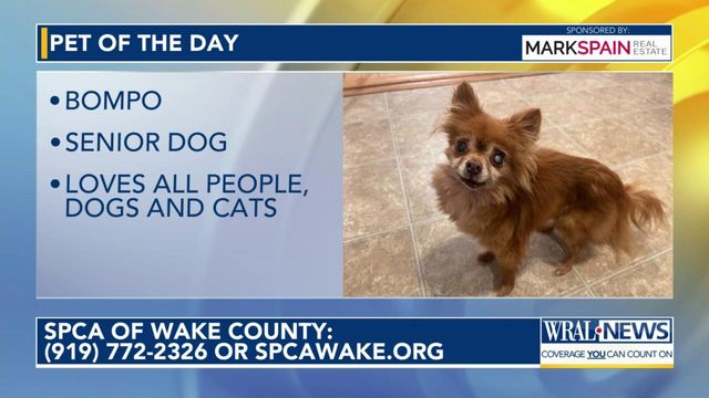 Pet of the Day: March 22