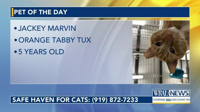 Pet of the Day for March 25, 2024