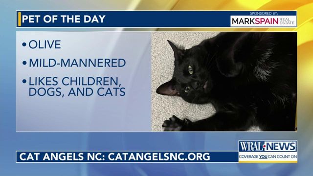 Pet of the Day: March 27