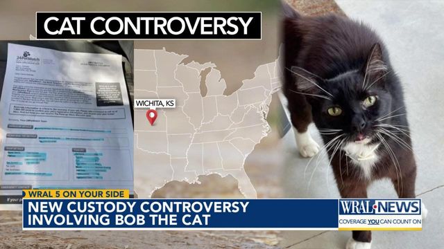 A look at Bob the cat's new custody controversy 