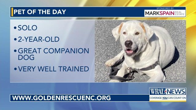 Pet of the Day: March 31, 2024