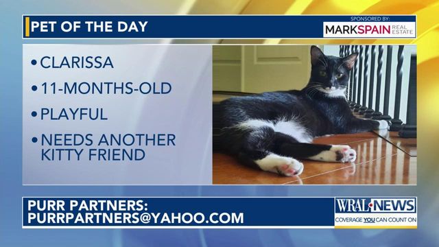Pet of the Day for April 1, 2024
