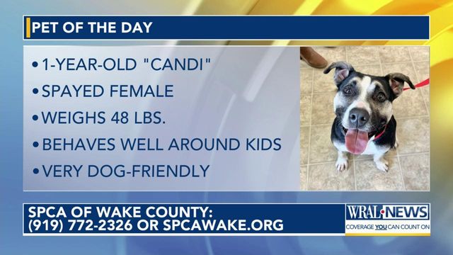 Pet of the Day for April 5, 2024