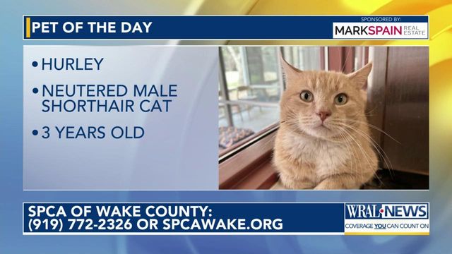 Pet of the Day: April 12