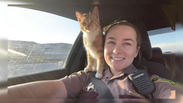 Caught on camera: State trooper rescues cat during traffic stop