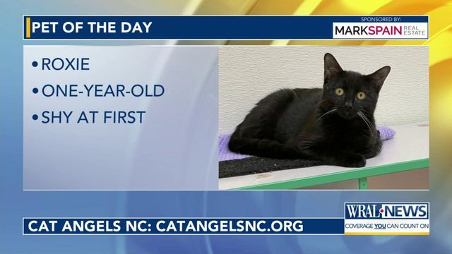 Pet of the Day for April 17, 2024