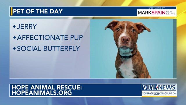 Pet of the Day for April 18, 2024