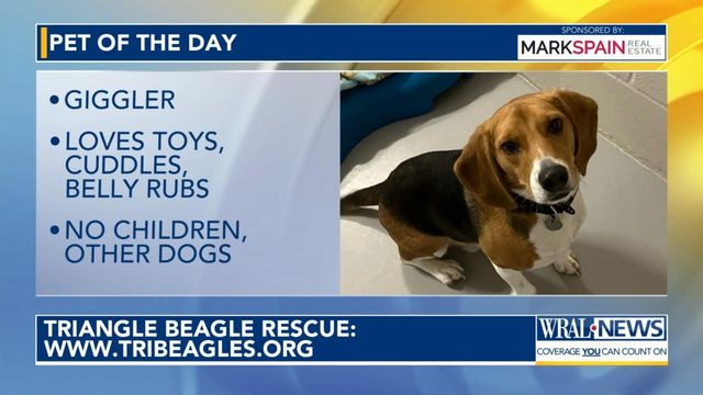 Pet of the Day: April 23