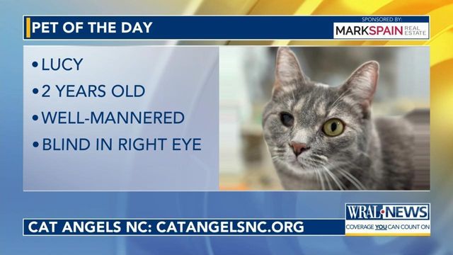 Pet of the Day for May 1, 2024