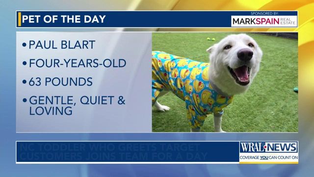 Pet of the Day: May 2