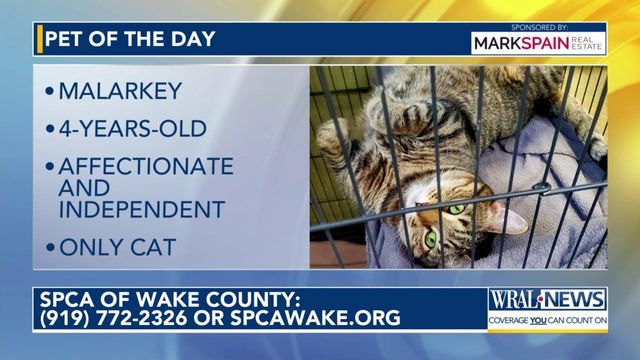 Pet of the Day: May 3