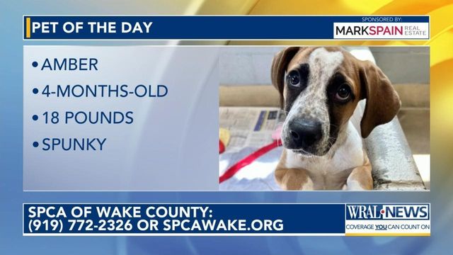 Pet of the Day for May 10, 2024