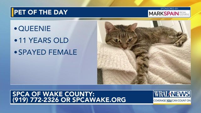 Pet of the Day for May 17, 2024