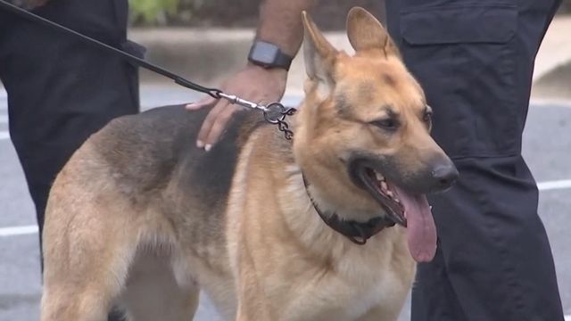 Good boy: Shelter dog becomes bomb squad K-9 in Maryland