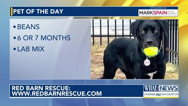 Pet of the Day for May 21, 2024