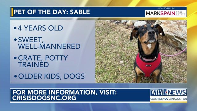 Pet of the Day for March 1, 2026