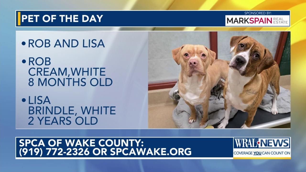 Pet of the Day for March 12, 2026