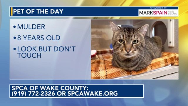 Pet of the Day for May 8, 2026