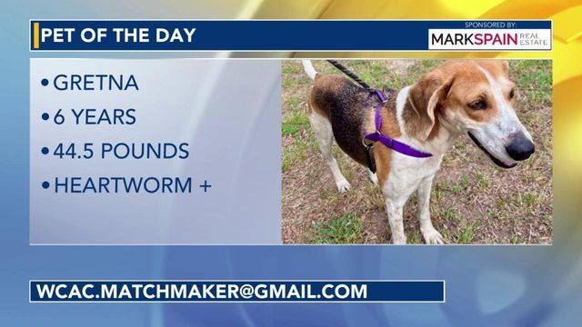 Pet of the Day for May 12, 2026