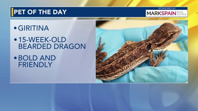 Pet of the Day for May 15, 2026