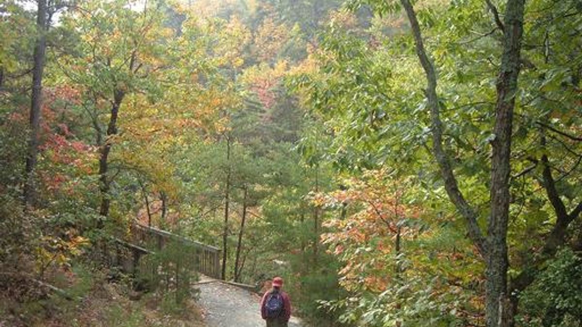 Hanging Rock State Park