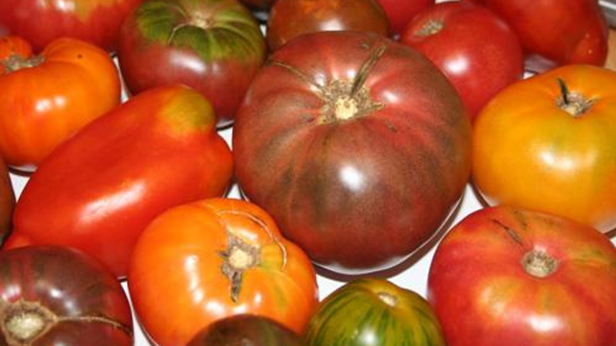 Heirloom Tomatoes