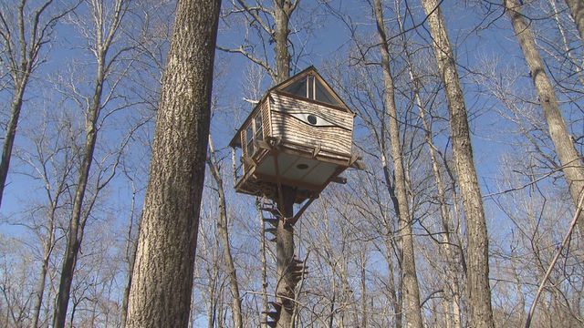 Elaborate tree house could draw guests in Orange County