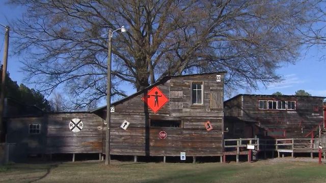 Roseboro treehouse remains community favorite