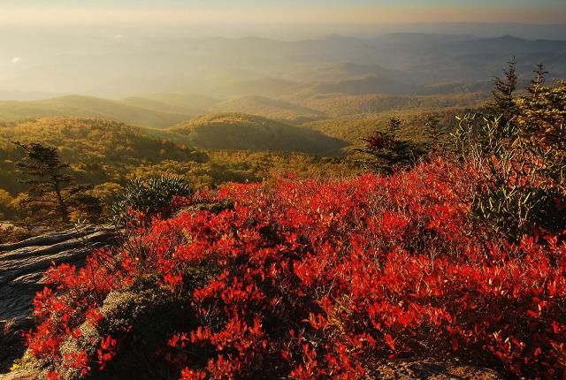 Photos from the Grandfather Mountain Stewardship Foundation