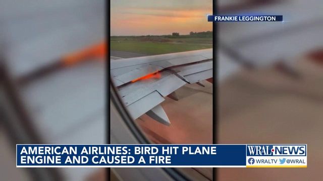 American Airlines: Bird hit plane engine, caused fire