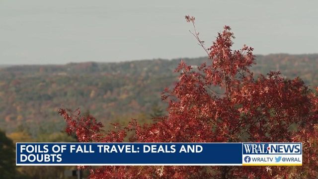 Gas prices, flight attendant strikes could mar appeal of fall travel