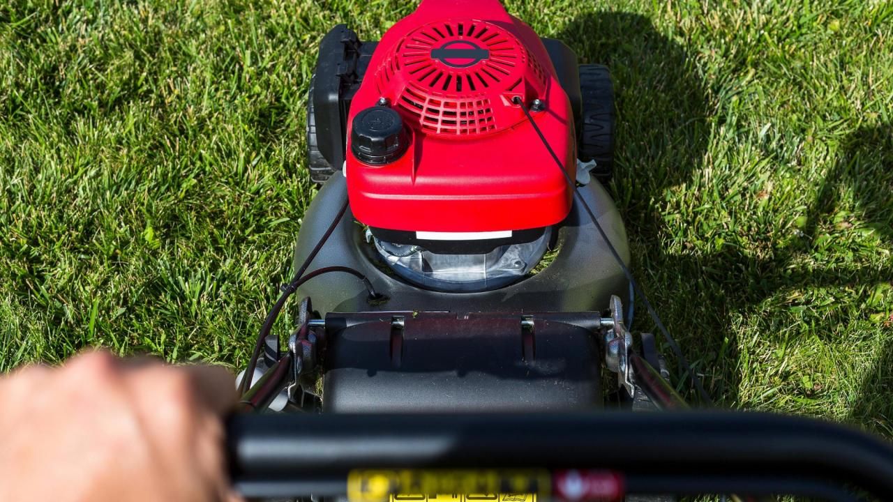 When the grass is greener: Tips to create a lawn worth bragging over