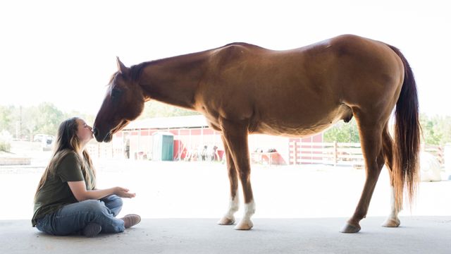 Horse therapy program serves kids during pandemic