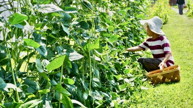 Spotlight: Sponsored: DEI work in the food industry and community