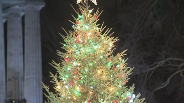 Capitol lights Christmas tree