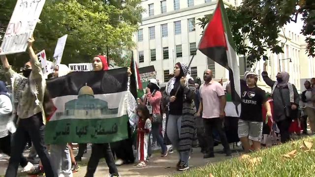 Protesters gather at the Capitol in support of Palestine