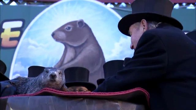 Punxsutawney Phil calls for 6 more weeks of winter
