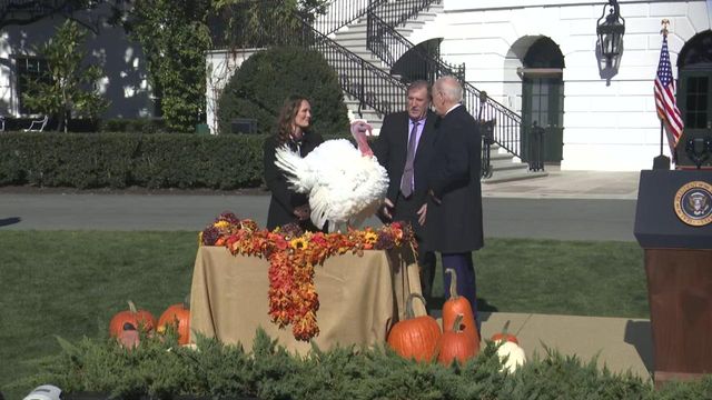 Gov. Cooper joins President Biden to pardon two NC turkeys