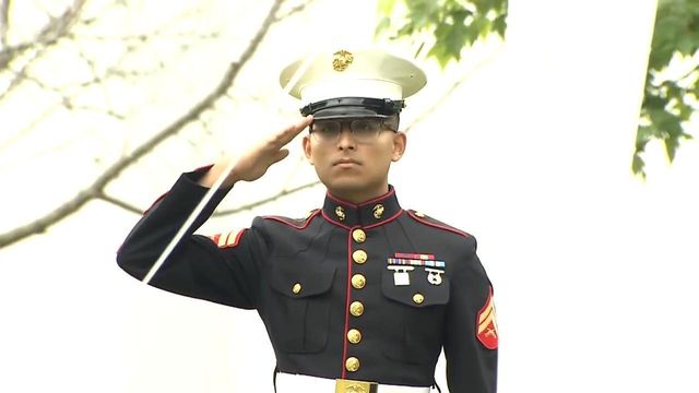 drill instructor dress blues Blue & Light Blue Striped Dress Shoelaces w/ Silver Aglets  Whiskers Laces
