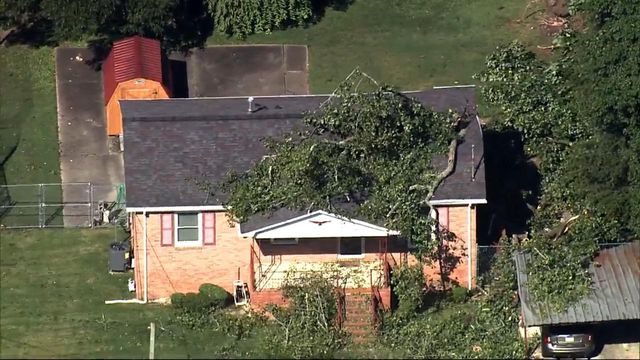 Trees in pools, on roofs: Sky 5 flies over storm damage in Raleigh