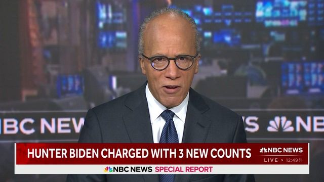 Hunter Biden indictment report