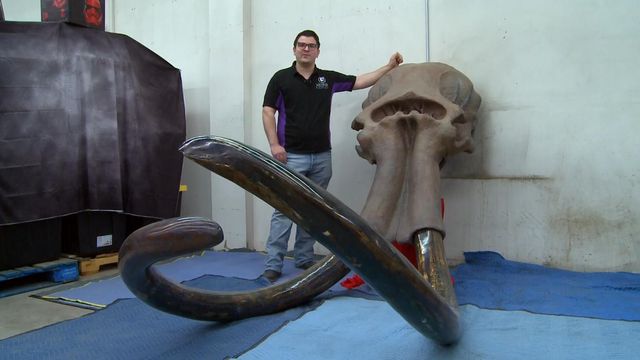 Woolly mammoth skull discovered in Alaska up for sale