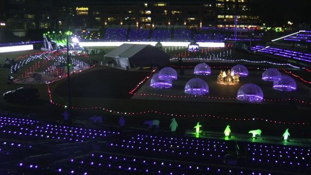Tap to see the dazzling lights of Wool E. Bull's Winter Wonderland at the DBAP