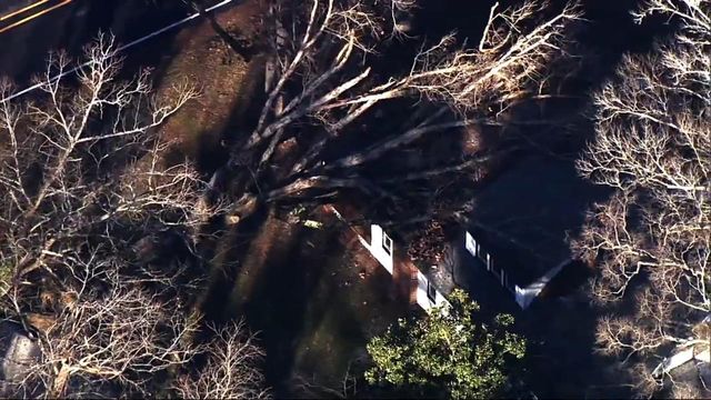 Sky 5 flies over Wendell where 100-year-old tree was uprooted