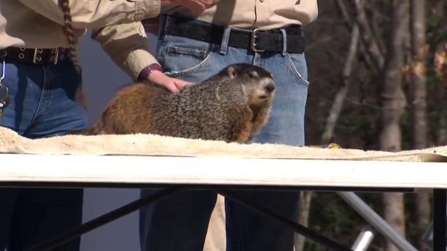 Snerd the Garner groundhog predicts an early spring! 