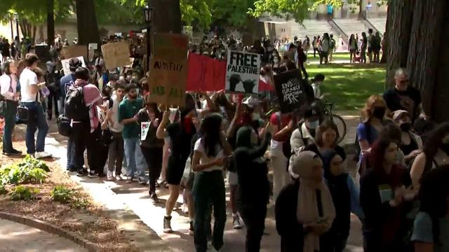 Pro-Palestinian protesters hold walkout at UNC-Chapel Hill