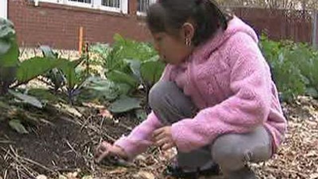 Durham students grow garden