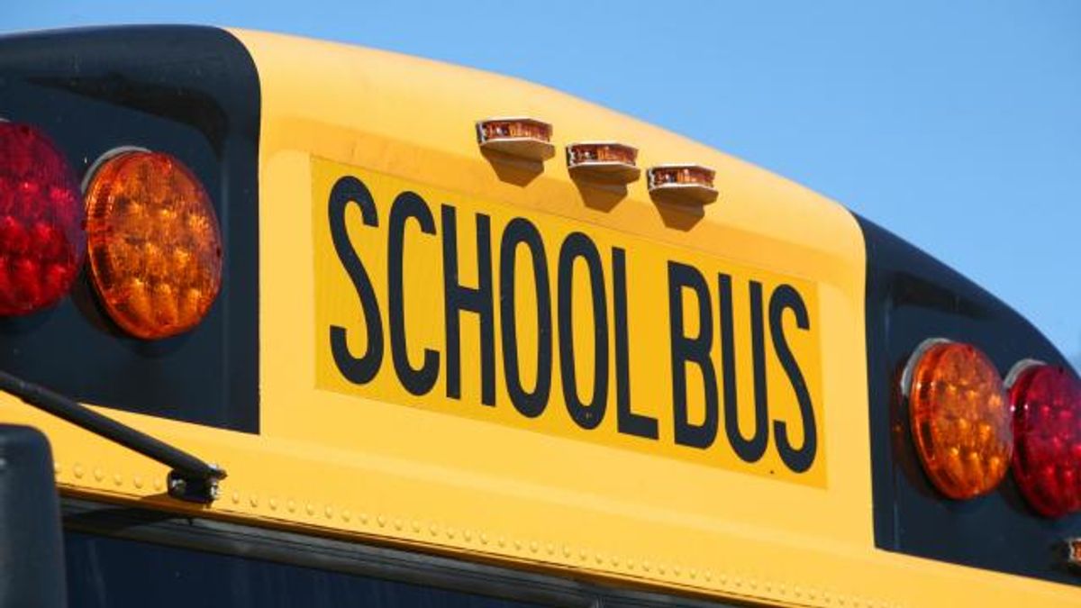 School bus 